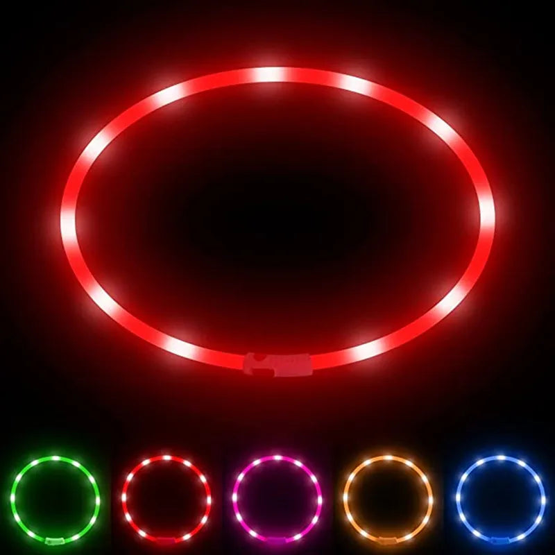 LED-Hundehalsband – USB-aufladbar, leuchtend für Nachtspaziergänge