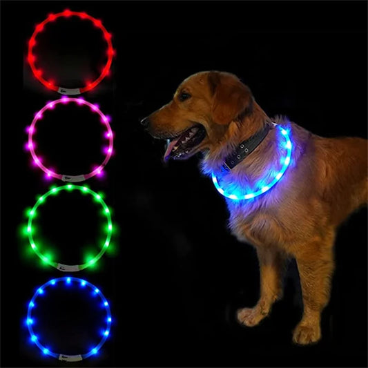 LED-Hundehalsband – USB-aufladbar, leuchtend für Nachtspaziergänge