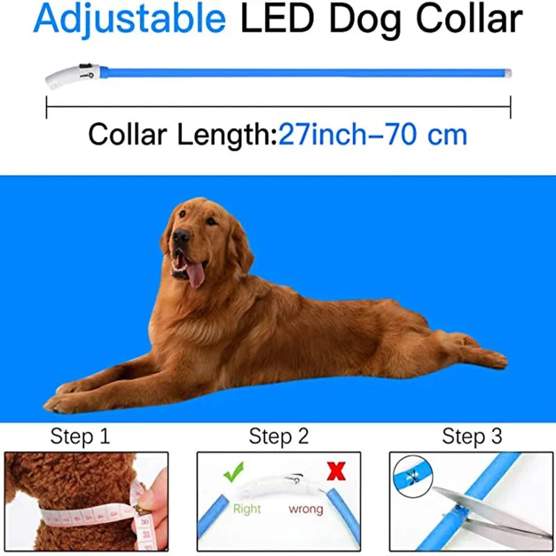 LED-Hundehalsband – USB-aufladbar, leuchtend für Nachtspaziergänge